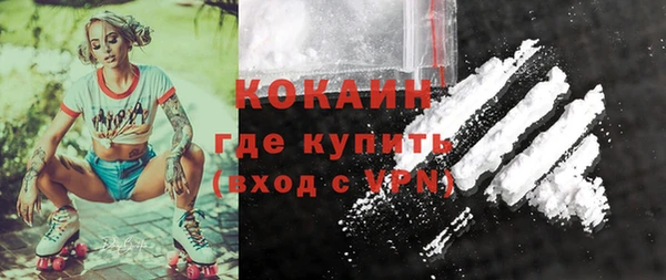 соль ск Козельск