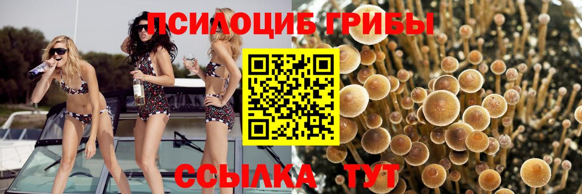 Псилоцибиновые грибы MAGIC MUSHROOMS Коркино